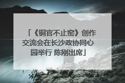 《铜官不止窑》创作交流会在长沙政协同心园举行 陈刚出席